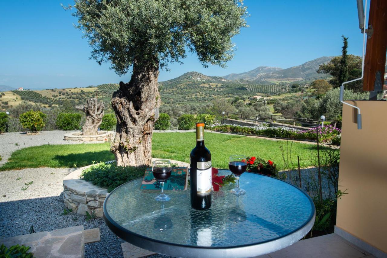 Sivas Apartments-Studios,Sigelakis With Very Nice View Bagian luar foto